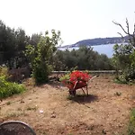 By The Sea - Perna, Peljesac - 13921