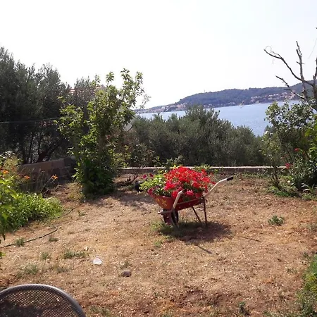 By The Sea - Perna, Peljesac - 13921